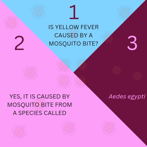 Yellow fever is a Public Health Emergency of International Concern (PHEIC). 

It is transmitted by an infected mosquito. 

This mosquito can be carried across borders (from one country to another)...
... follow (CHIZZA HEALTH WIDE) Facebook for more 

#WHO