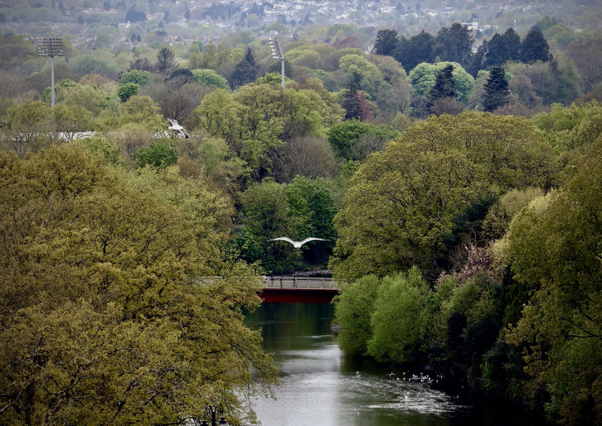 Looking along the river Taff from the roof of the Principality stadium #Cardiff #Wales   🌳 🏴󠁧󠁢󠁷󠁬󠁳󠁿