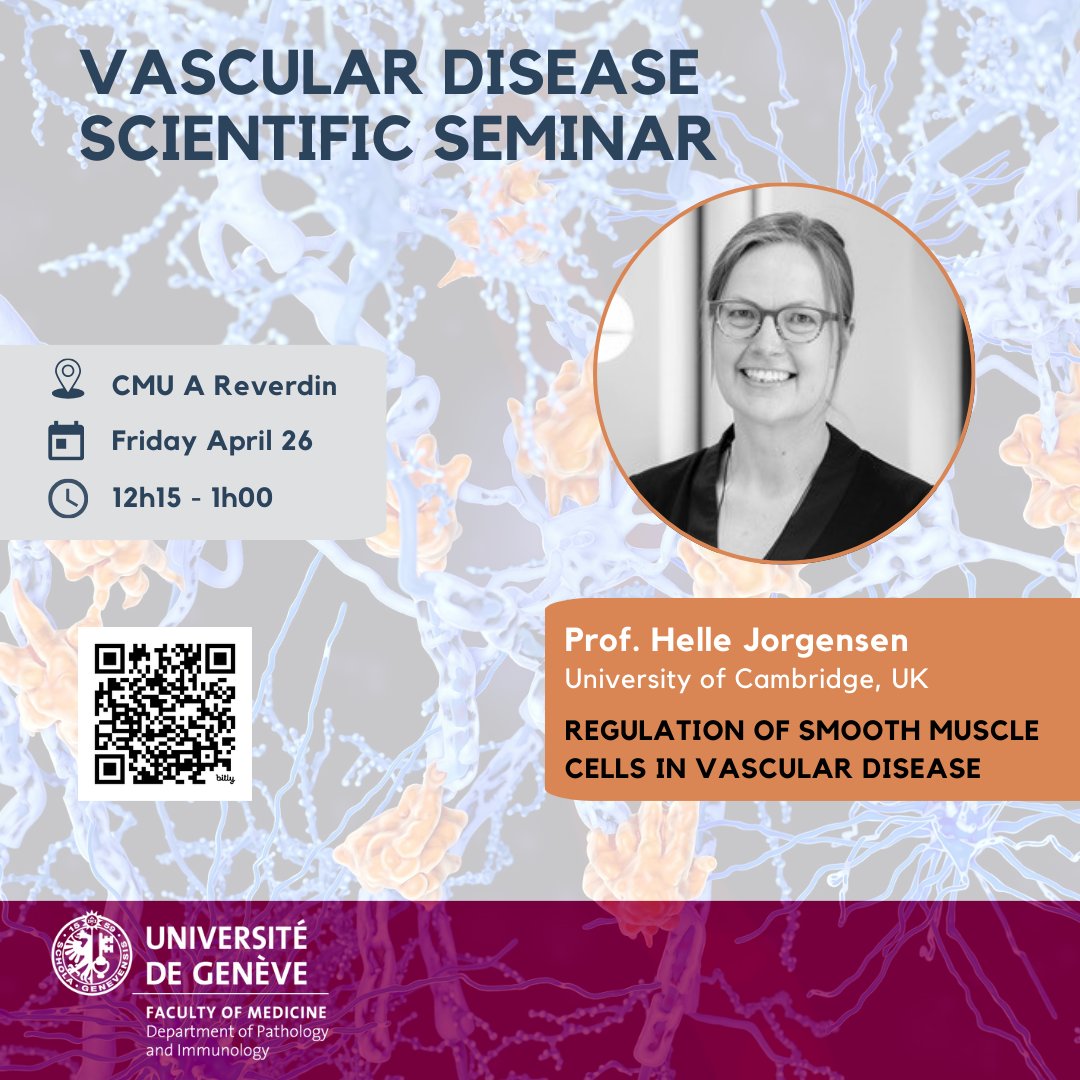 🔬Join us Today! 📚We will discuss cell plasticity in the #cardiovascular system & the role of vascular smooth muscle cells in #atherosclerosis - with Pr Helle Jorgensen! @hfj22 @Cambridge_Uni #VascularDisease 📅Fri 26.04 🕒12h15 📍CMU Reverdin bit.ly/3UjnWAQ