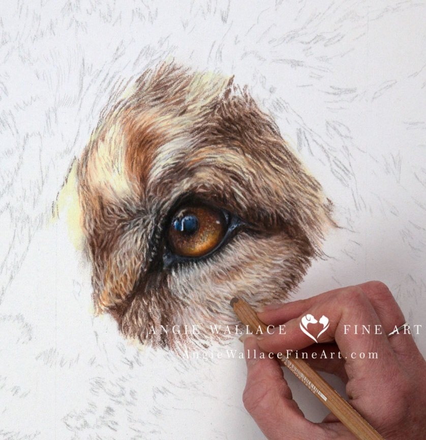 My next Wildlife piece. Can you guess what it is yet? Will give you another clue later x #wildlifeart #wildanimals #art #drawing #fur