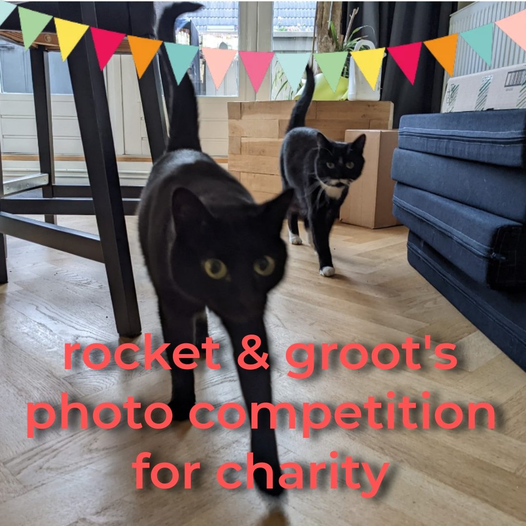 Groot & Rocket tweet... tweet media