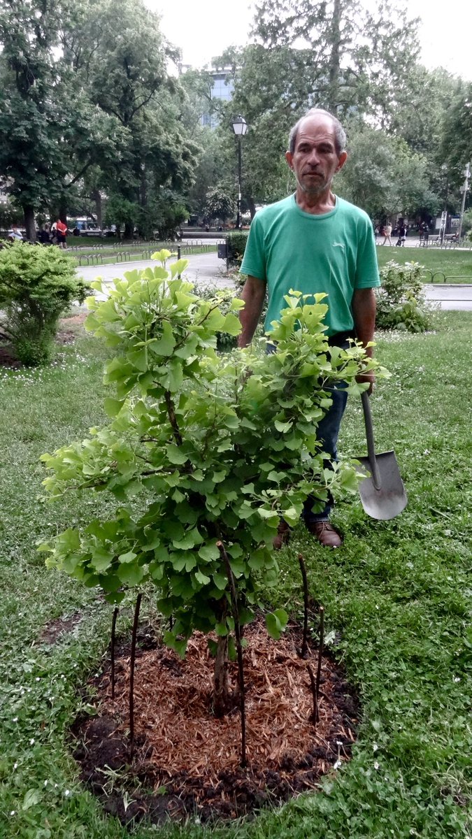 Delegate to the VASIL pool to continue Vasil’s legacy! #vasilsp #cardano #CardanoCommunity #cardanostaking

📷 Vasil working on the base of a tree he planted in Pazardjik Central Park