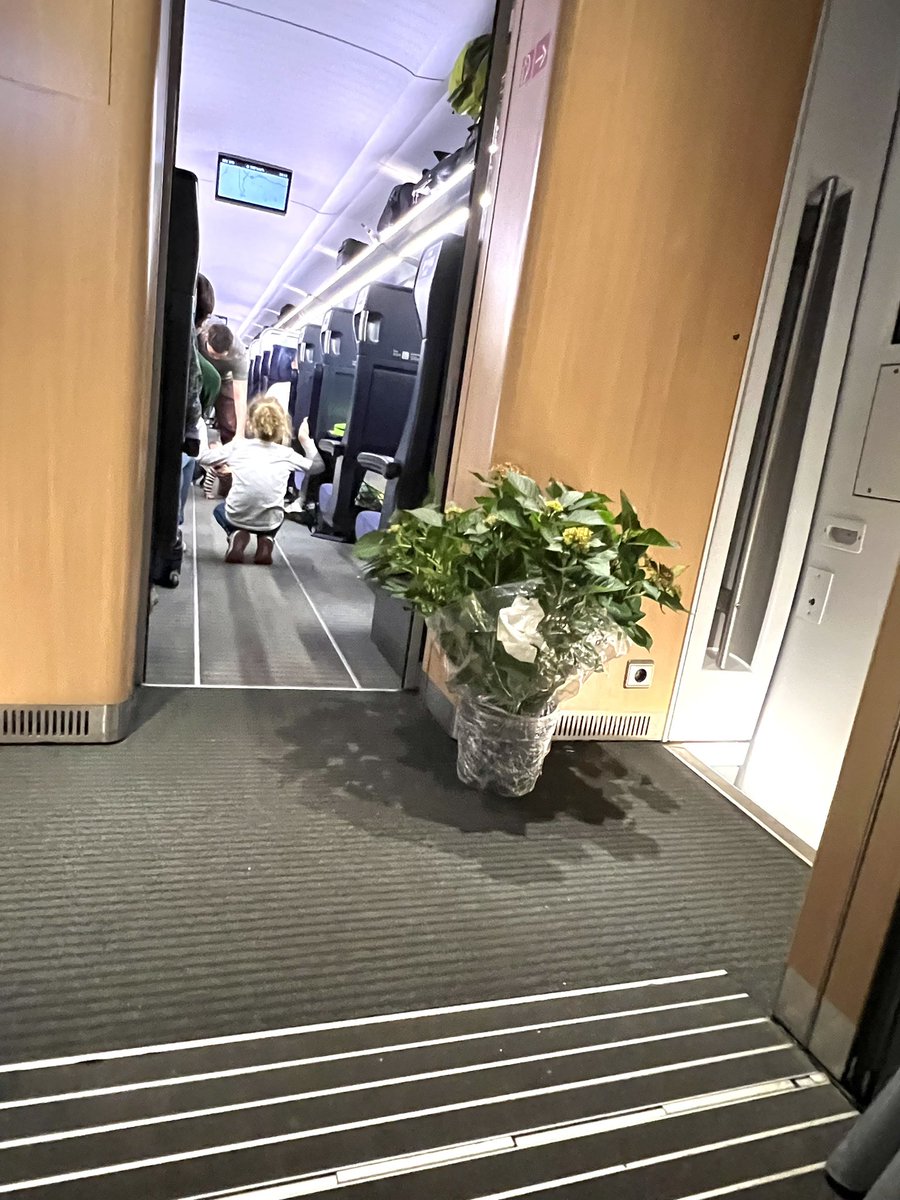 Le train de Deutsche Bahn est à l’heure et les couloirs sont fleuris En route pour le dîner de gala de @SCPO_Nancy @sciencespo