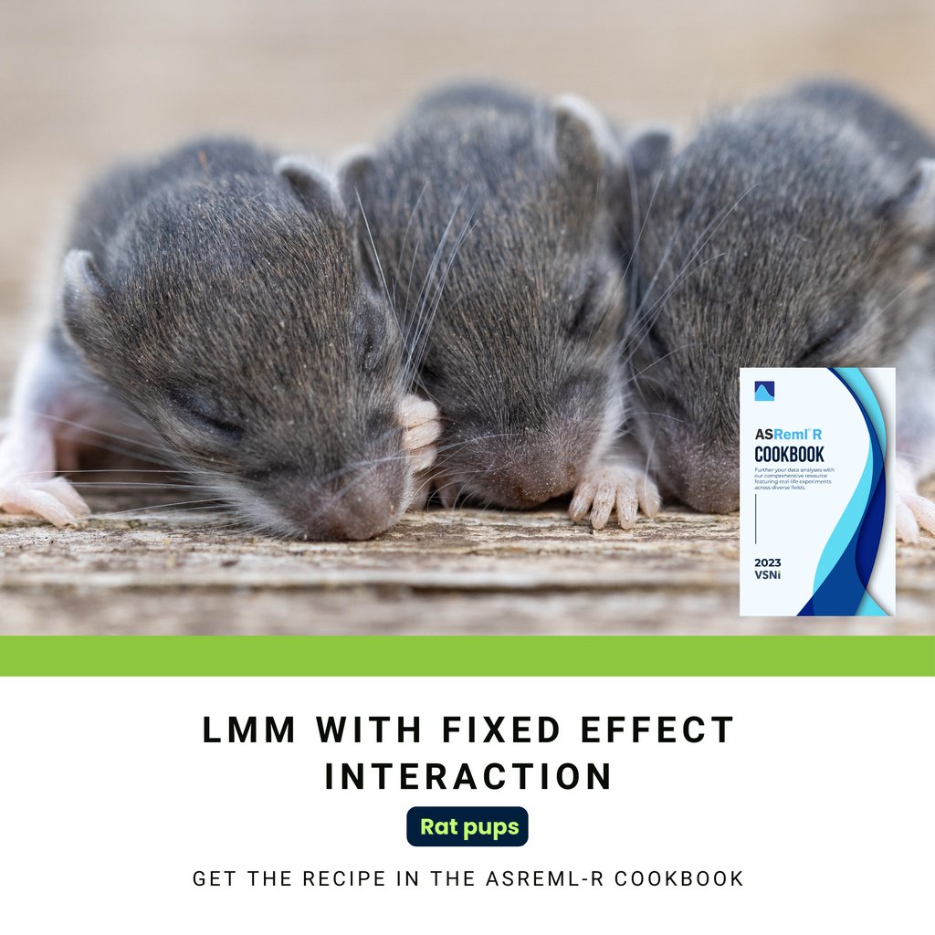 VSN International tweet media