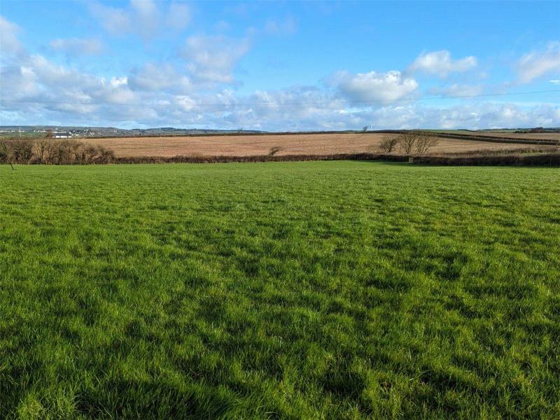 🌿 LAND FOR AUCTION 🌿
📍 Marhamchurch
📅  Wednesday 15th May, 7pm at Lifton Strawberry Fields
💰 Auction Guide: £65,000

An attractive and very gently sloping pasture field, well fenced and with road frontage and good access.

🌐 kivells.com/residential-sa…

#TheAuctionThatSells
