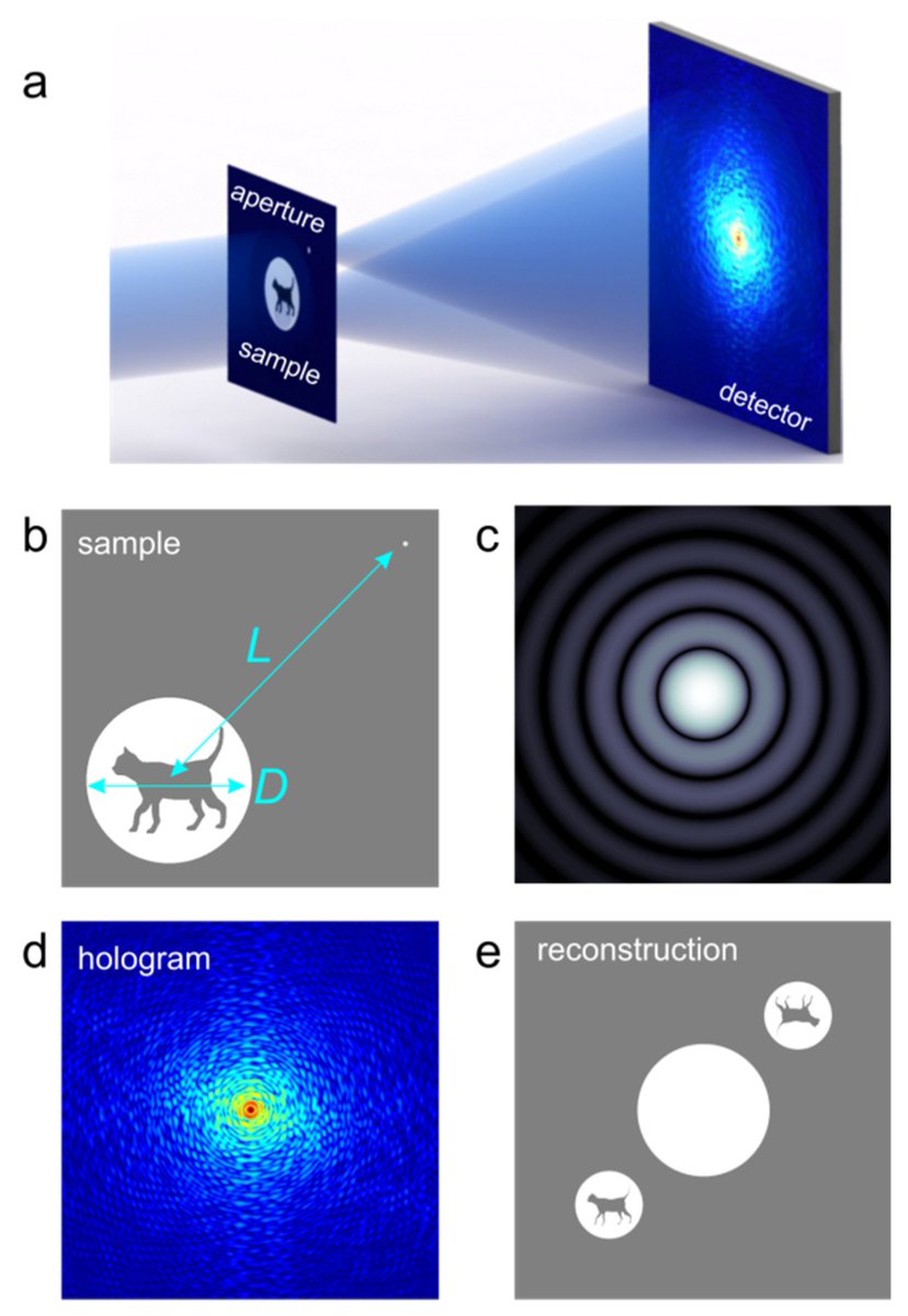 #HighlyDownloaded
Fourier Transform #Holography: A Lensless Imaging Technique, Its Principles and Applications
By Sara Mustafi and Tatiana Latychevskaia
From Paul Scherrer Institute and University of Zurich
👉mdpi.com/2304-6732/10/2…
#Photonics #Optics