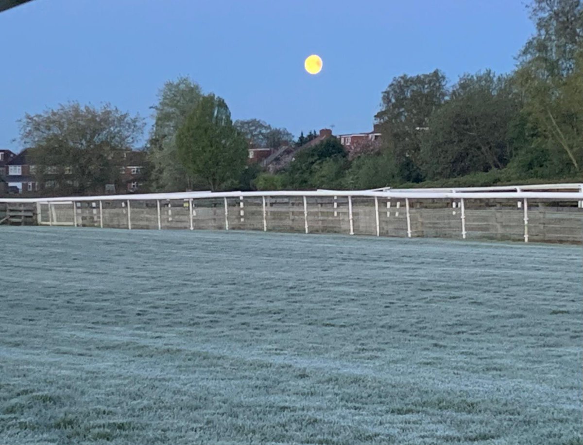 An early start for our Facilities Manager, but you wouldn’t mind if this was your morning walk to work would you?