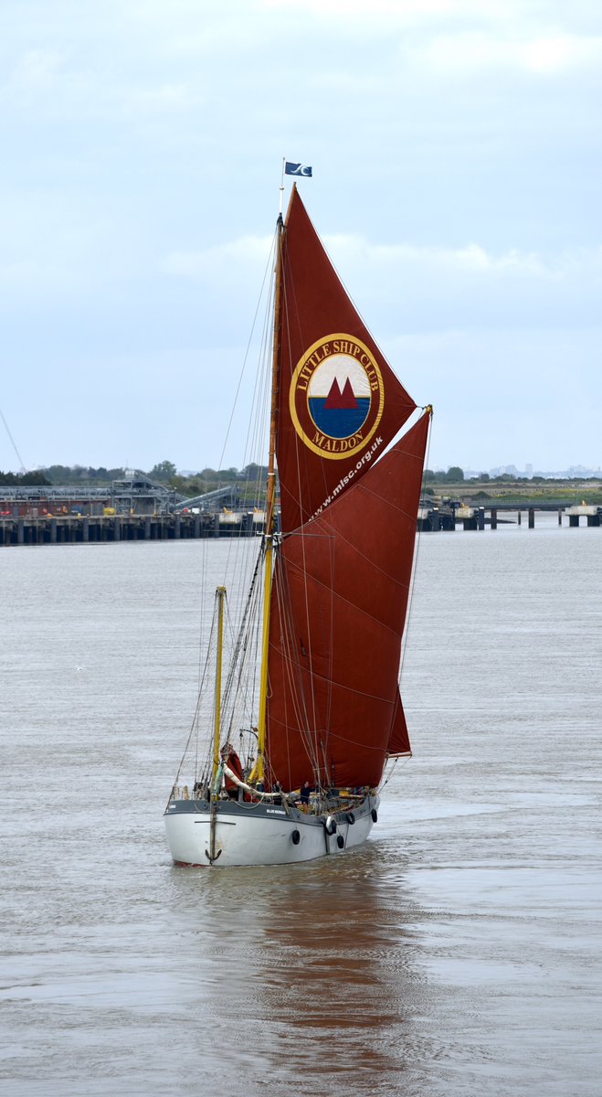 SB Blue Mermaid’s sails catching the evening breeze near Gravesend. @thamesbarge @SeaChangeTrust @visit_gravesend #SBBlueMermaid #BlueMermaid #SailingShips #SailingBarge #SailingShip #Sail #Sailing #SailingBarges #SeaChangesSailingTrust #ThamesSailingBarges #RiverThames #Thames