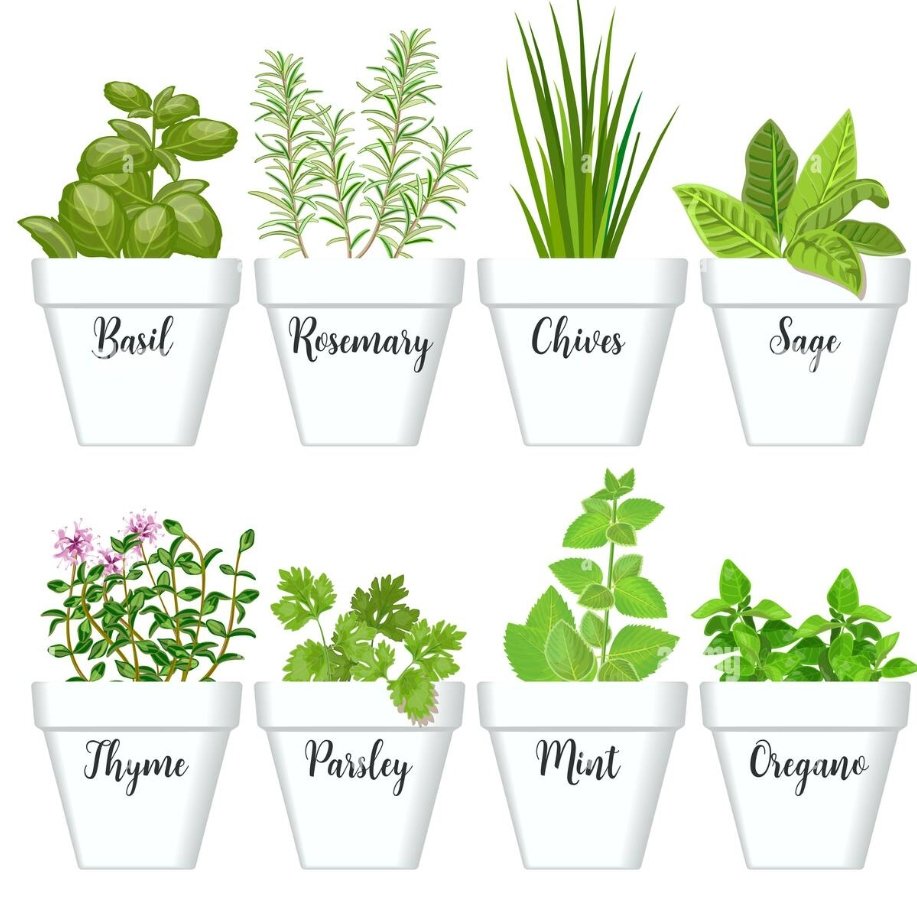 Herbs.

Simple. Effective. Un saturated market.

Whilst I am a huge proponent of digital, Im an equally big advocate of small data, big outcomes.

Riches in niches.

Let me explain. Whilst you may consider some herbs as non traditional or luxury goods, it takes the same soil,