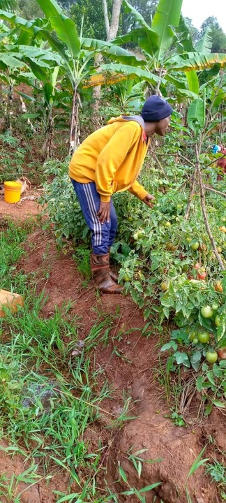 Longin studierte in Ngozi, im Norden Burundis, mit einem Stipendium von BURUNDI KIDS - ermöglicht durch eine private Spende - an der Fakultät für Agronomie und Agribusiness. Vor kurzem konnte er seinen Abschluss an der Universität absolvieren. 🥕

#burundikids