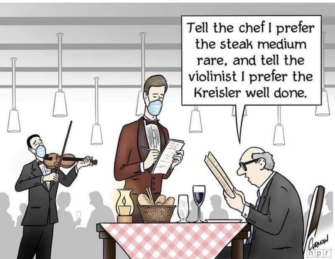 #jokeoftheday Everyone’s a critic! #music #violinist