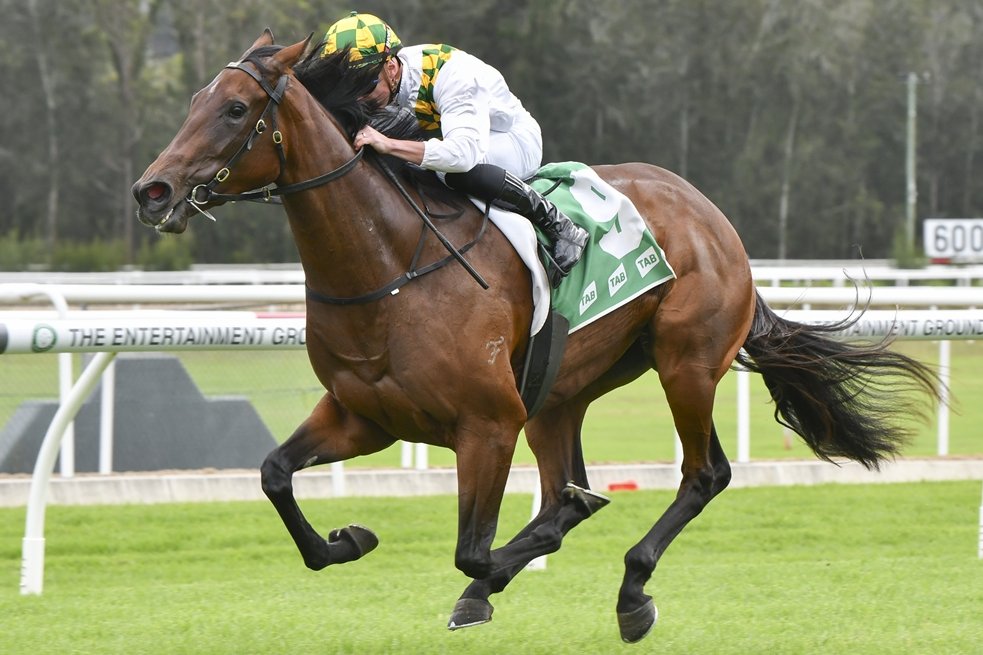 'She has come through it really well and seems to be on the right path.” Michael Freedman has stakes races in mind for promising filly Seascape's future if she backs up her debut win at Rosehill on Saturday. 📸 @Bradley_Photos READ: tinyurl.com/kmhs4t3u