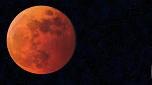 multiforoalicio's tweet photo. Luna Naranja

“Una naranja sobre la mesa, su vestido en la alfombra, y usted en mi cama, dulce regalo del presente, emoción en la noche, llama de mi vida.” 

―Jacques Prévert https://t.co/zEQ87iUeTl