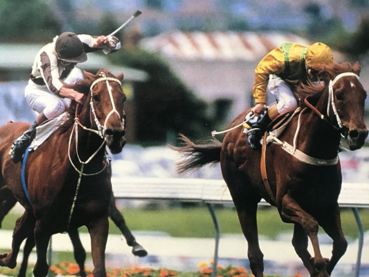 Vale iconic New Zealand trainer Dave O’Sullivan. Wonderful man and great trainer, O’Sullivan dynasty lives on through Lance and Paul. Dave and Lance part of the folklore of the 1986 Cox Plate with Our Waverley Star. Horlicks, Shivaree, Surfers Paradise, stars galore #ValeDOS