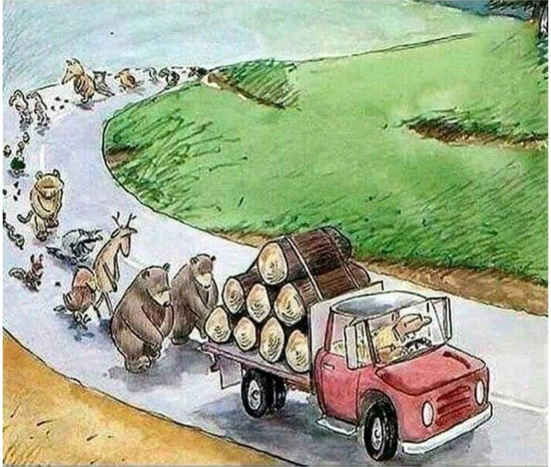FarzanaQassim's tweet image. Funeral of trees...
#ClimateActionNow #ClimateChange #EarthDay2024 #EnvironmentalJustice #Animal_Justice #Birds