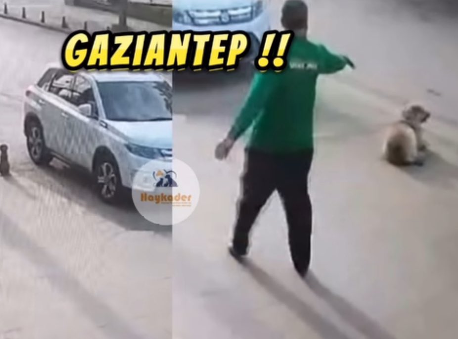 Bugün o silahın enjektörünü o mesafeden kendinize sıktırıp nelere sebebiyet verdiğini test eder misiniz? Teşekkürler. @GaziantepBeld 

@FatmaSahin 

@pervintuba