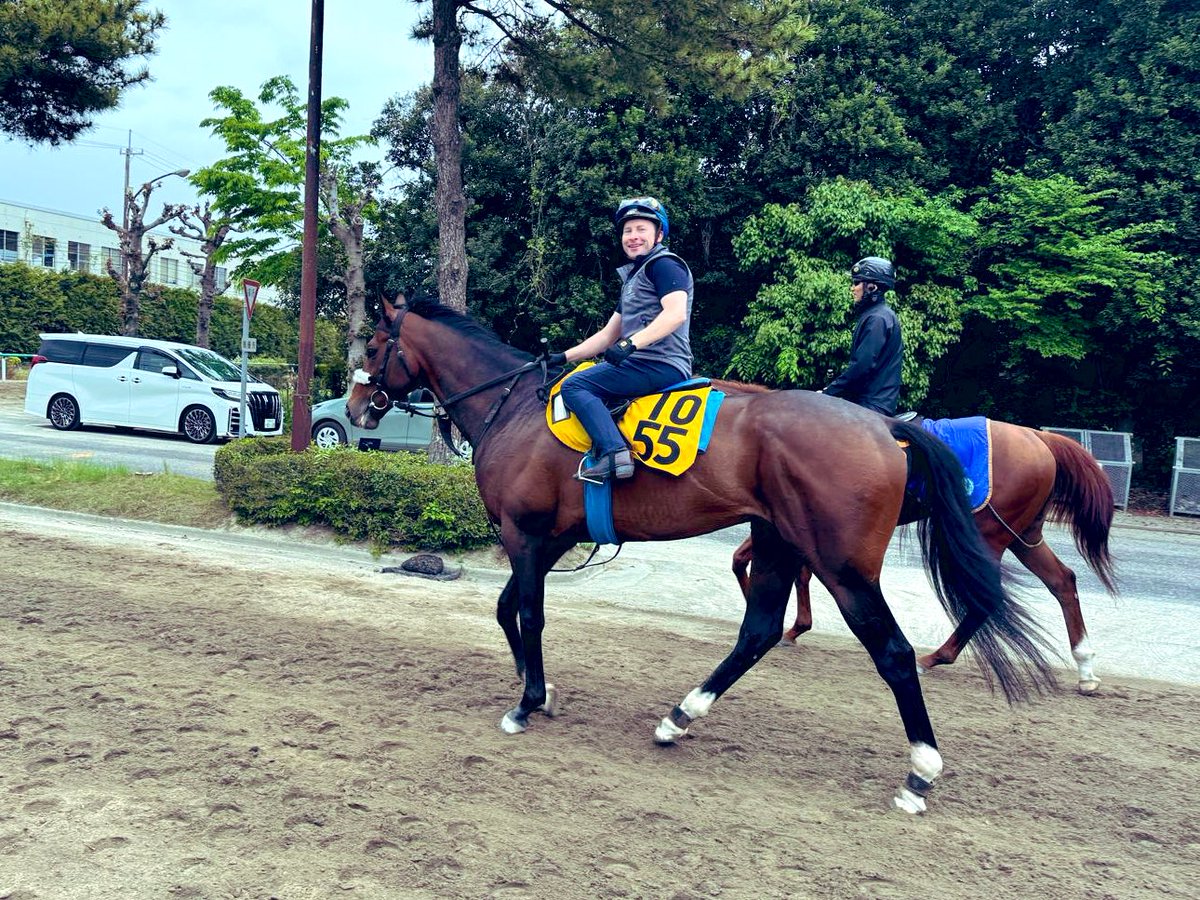 Tadhg in Japan! 🇯🇵 #DubaiWorldCup winner and 12 x UAE Champion @OsheaTadhg riding out at Miho Training Center as his Japanese stint begins.