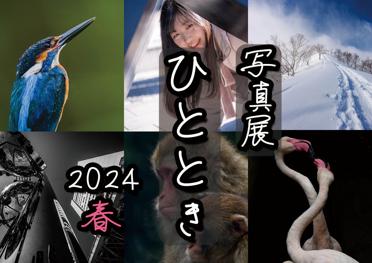machinaka802's tweet photo. 写真展「ひととき2024 〜春〜」
期　間 5月1日(水)～5日(日)
”写真は楽しい”という事を共有したいという目的で企画された写真展です。ワークショップやミニ講座、ワンコイン写真館などもあります。※入場無料
詳細https://t.co/BR0c396Gww
ぜひお越しください。 https://t.co/0awDTw3tK7