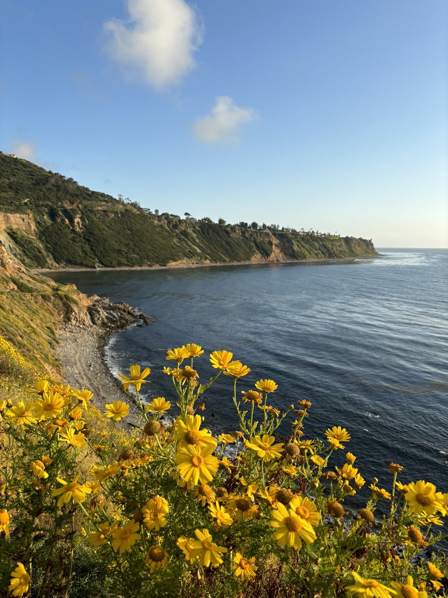 HEATHER BOND tweet media