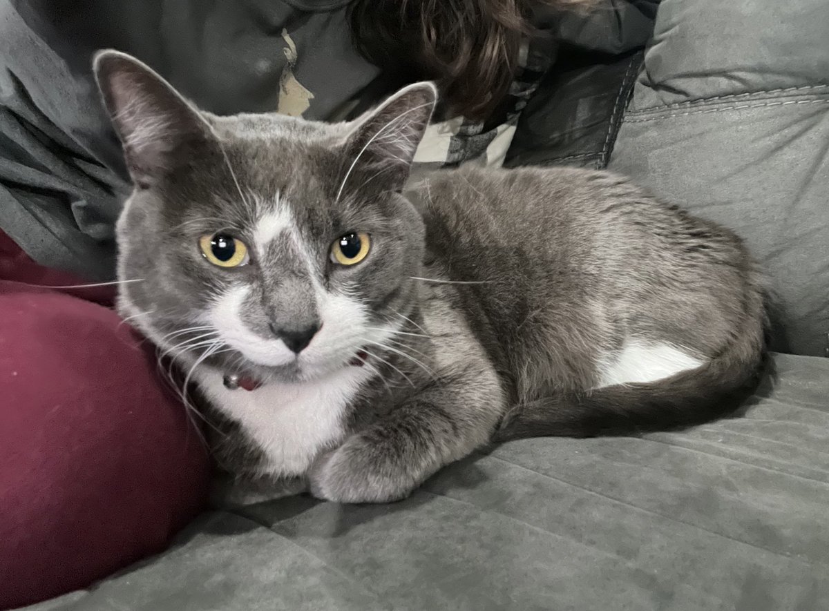 Elyssa❤️🇲🇽 tweet media