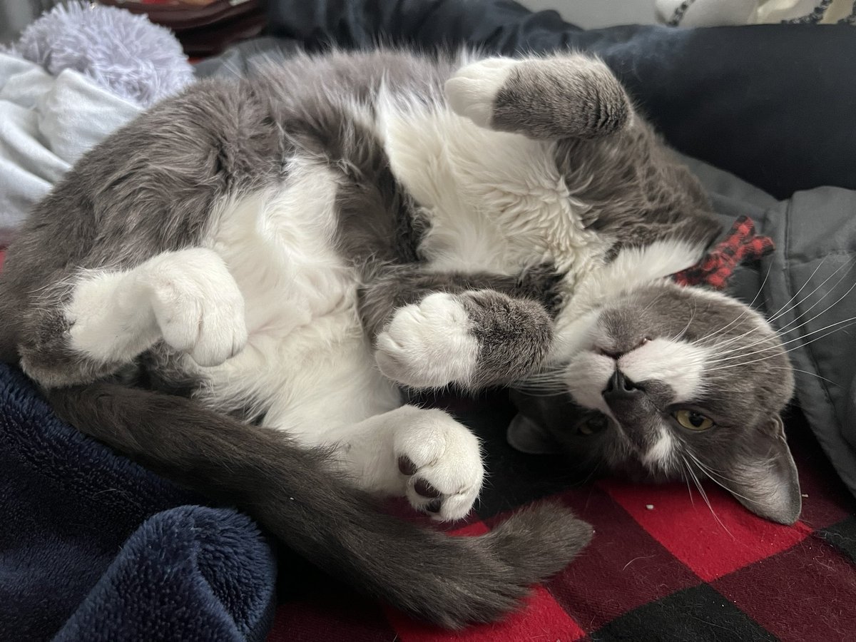 Elyssa❤️🇲🇽 tweet media