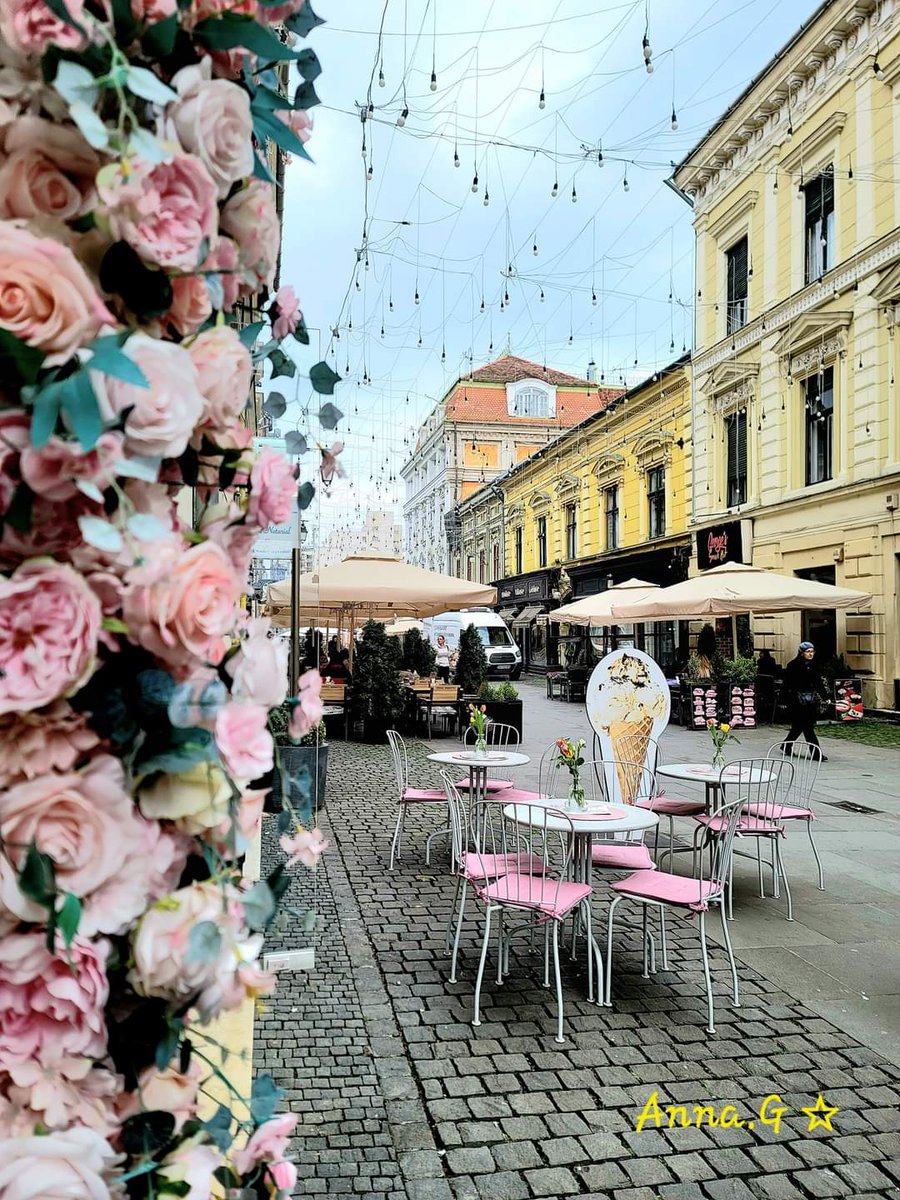 Timișoara is a city in western #România, known for Secessionist architecture. 
I just fall in love with this city! ✨️💜 ✨️ 
#timișoara #visitromânia #magical
 📸 Anna.G 
📌 Timișoara 🇷🇴
#TraveltoRomânia