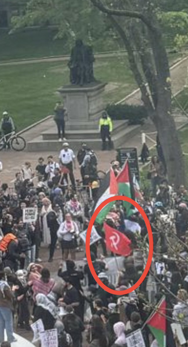 Here is photo of the hammer and sickle Communist flag being waved proudly in the center of the demonstration.