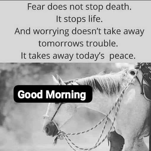 Good morning! Fear robs us of living fully, while dishonesty erodes peace. Embrace courage and honesty; nurture your life and preserve tranquility. #Wisdom #LifeLessons #PeaceOfMind
@SpireJim 
@rkalyes1 
@joshjeje2