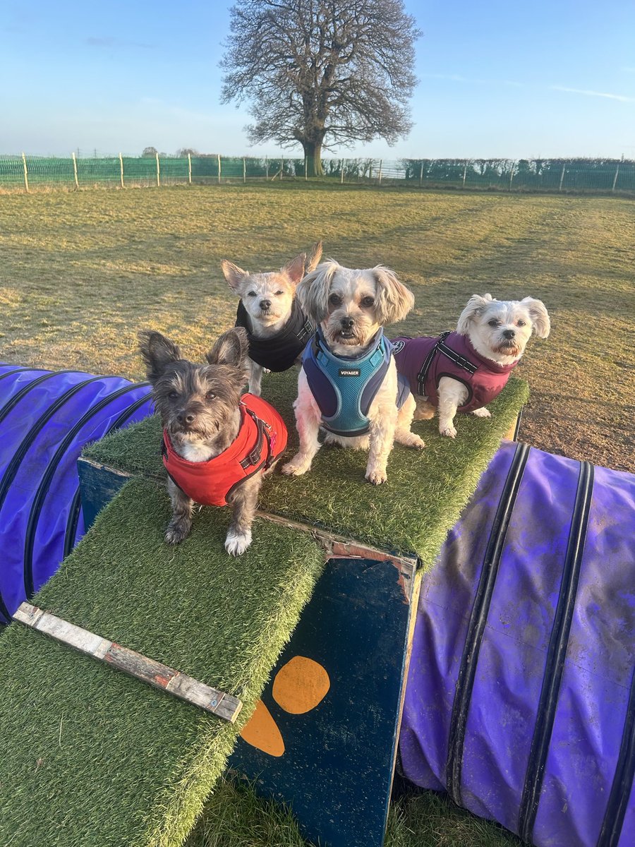 Nettles🌿Daisy🌼Clover☘️& Barley🌾 tweet media