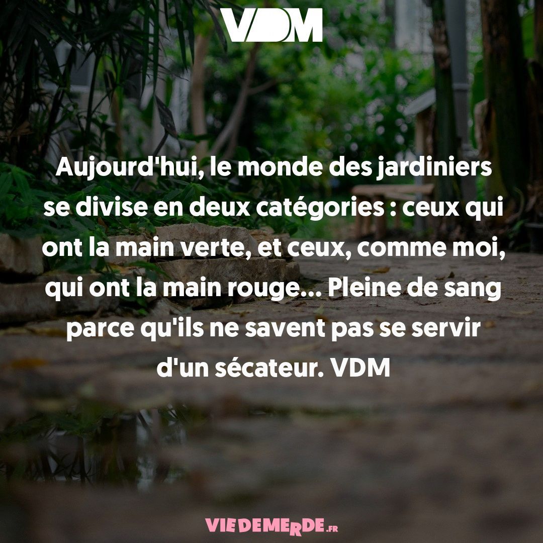 Partagez vos VDM ici : viedemerde.fr/?submit=1 et/ou téléchargez l'appli VDM officielle - viedemerde.fr/app