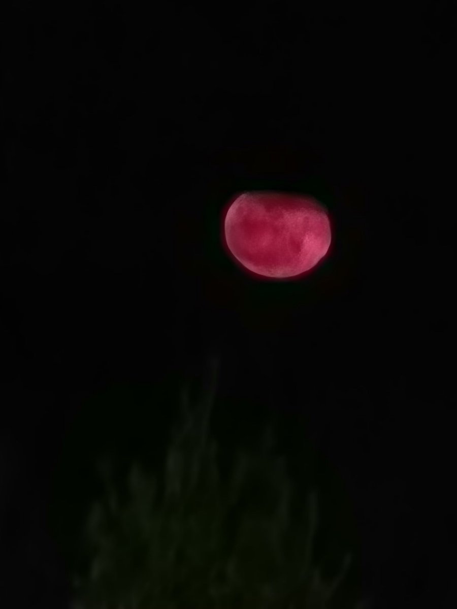 There's a blood moon, and then, there is this Crimson Moon that I saw tonight! So freaking cool! Only wish this picture was more depictive of what we saw tonight!