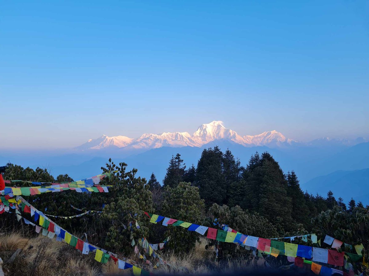 Some photos were taken in our recent Ghorepani Poon hill Trek!
#ghorepanipoonhilltrek #poonhillview #rhododrendron #nepalnationalflower #trekkinginmach2024 #marchtrekinnepal #explorenepal #outfitterhimalaya

outfitterhimalaya.com/ghorepani-poon…