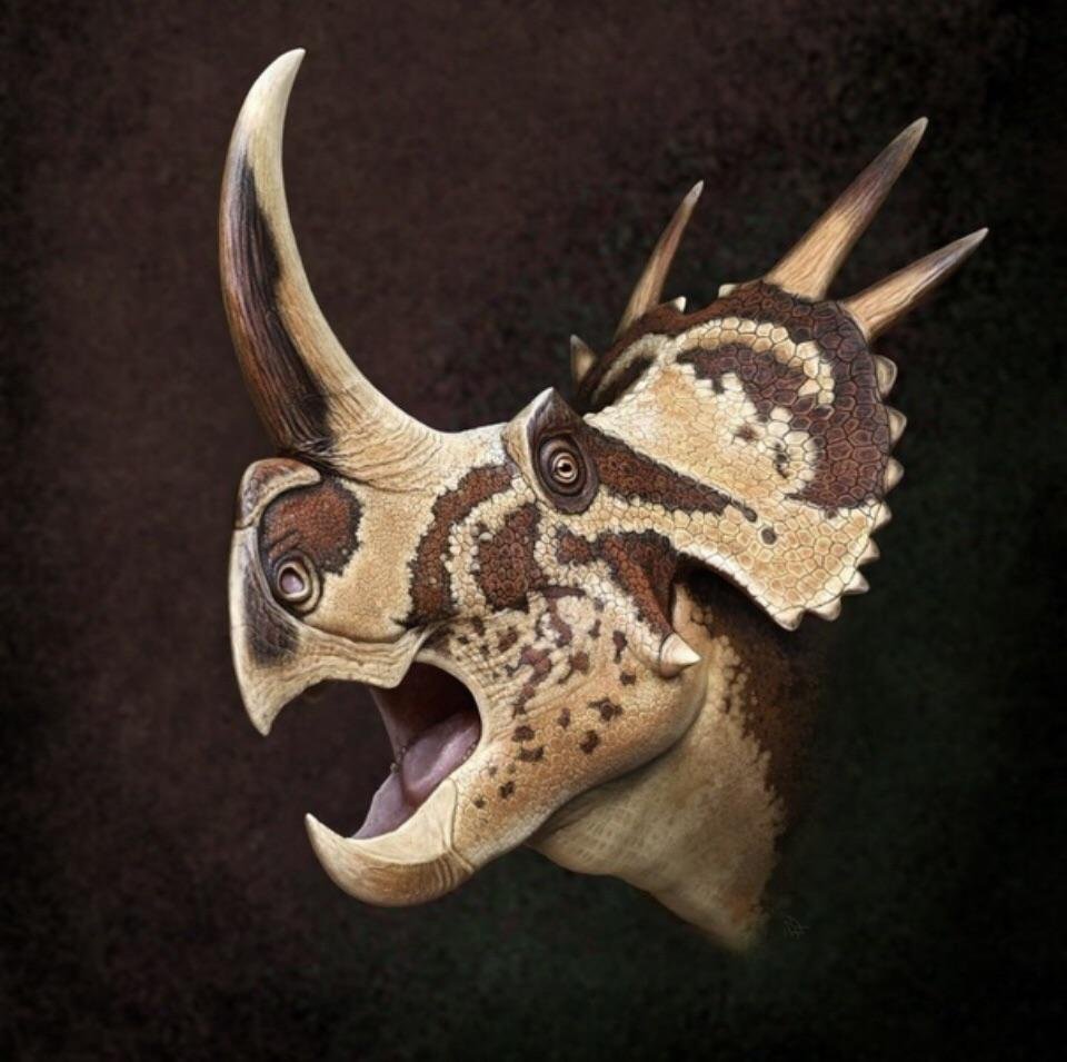 Riamus01's tweet photo. Man, NOBODY does ceratopsian art better than Andrey Atuchin does it. How does he do it?? https://t.co/0SVCnf4OOb