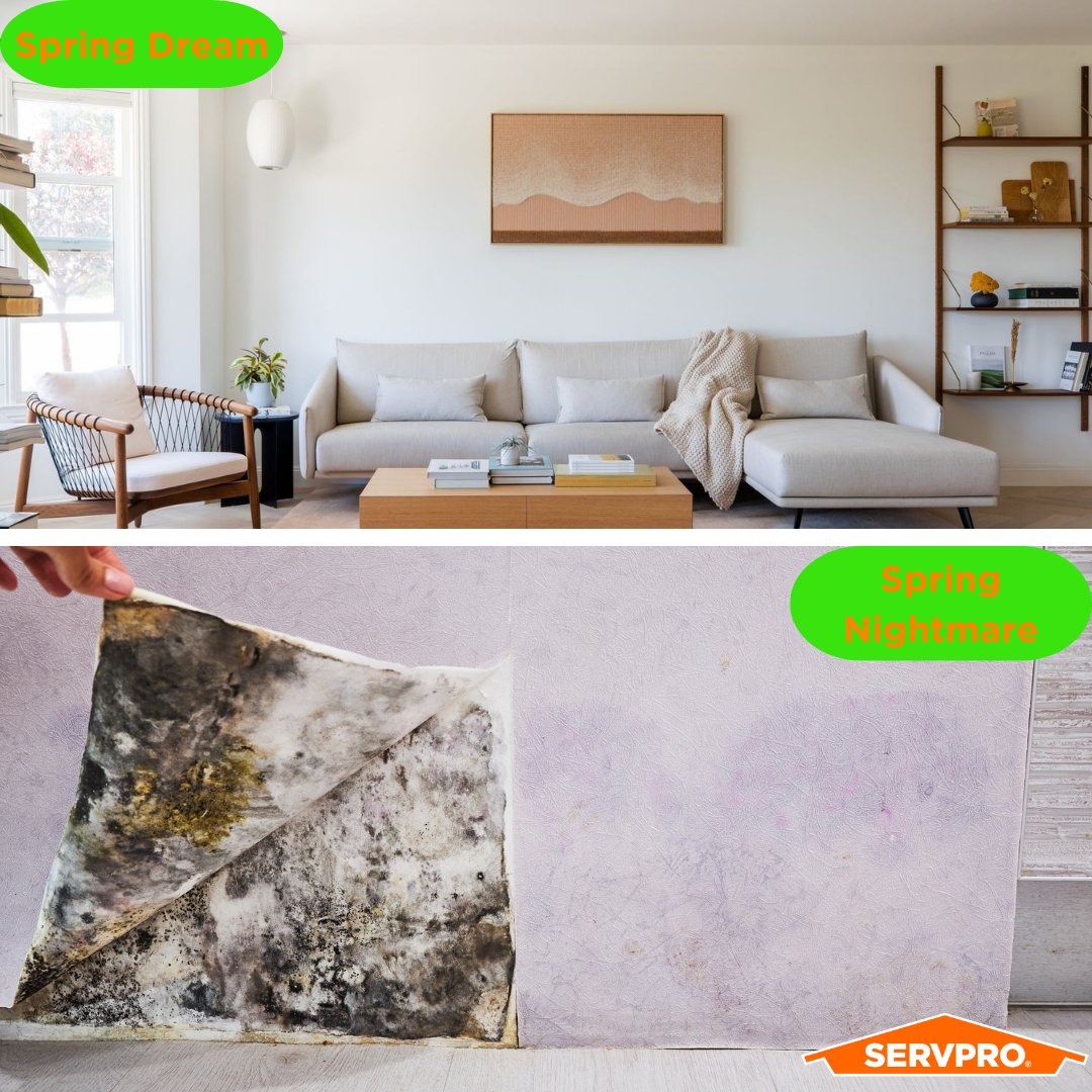 Spring Dream or Spring Nightmare? Don't let hidden leaks spoil your season! SERVPRO of Beverly/Cape Ann will find and fix water damage, preventing mold and keeping your home healthy. Let's make spring cleaning a success!  #SERVPRO #SpringCleaning #WaterDamage