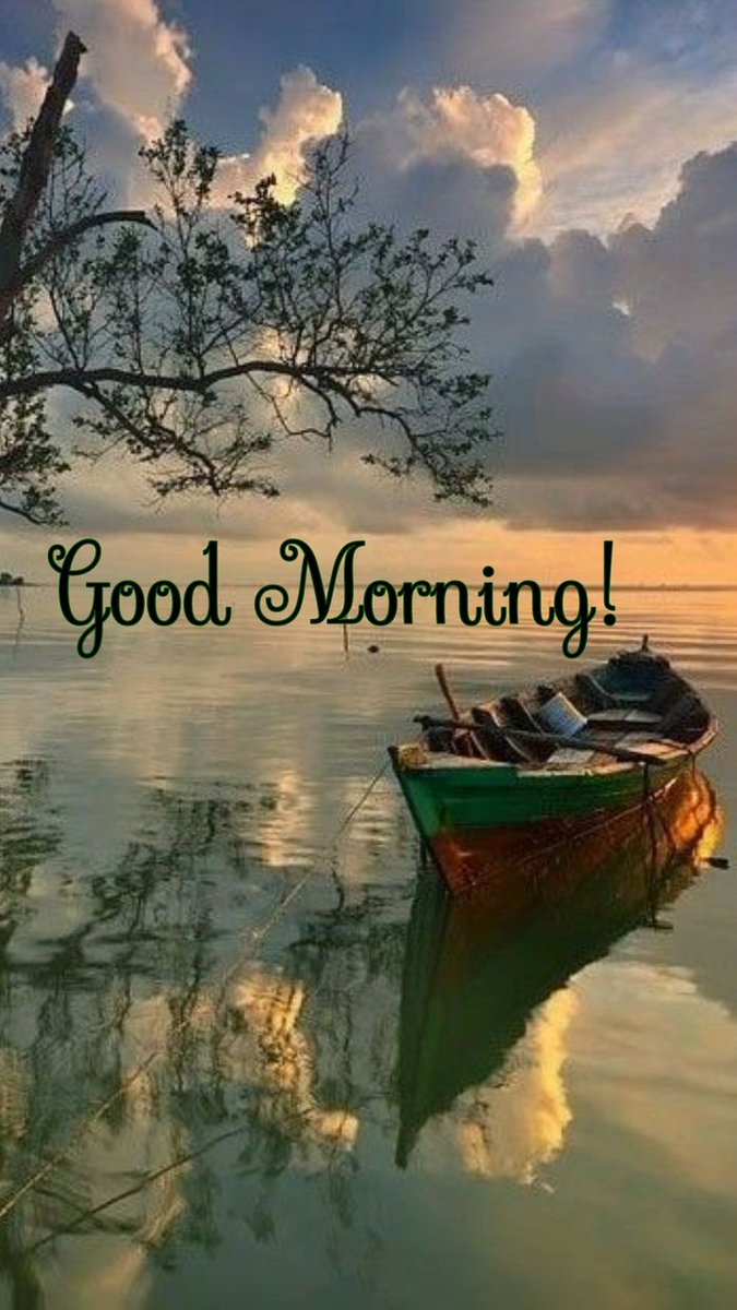 cewolife (@cleanworldlife) on Twitter photo 