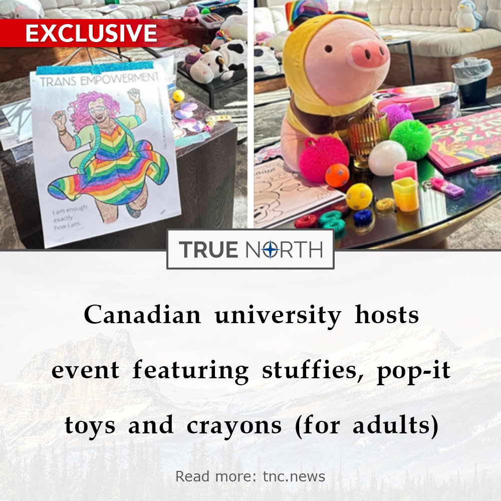 Kwantlen University in Surrey, B.C. has opened a “reduced sensory space” during exams, inviting post-secondary students to play with plushies, crayons, and “stim toys” such as reversible octopuses and fidget poppers. Read more: tnc.news/2024/04/25/can…