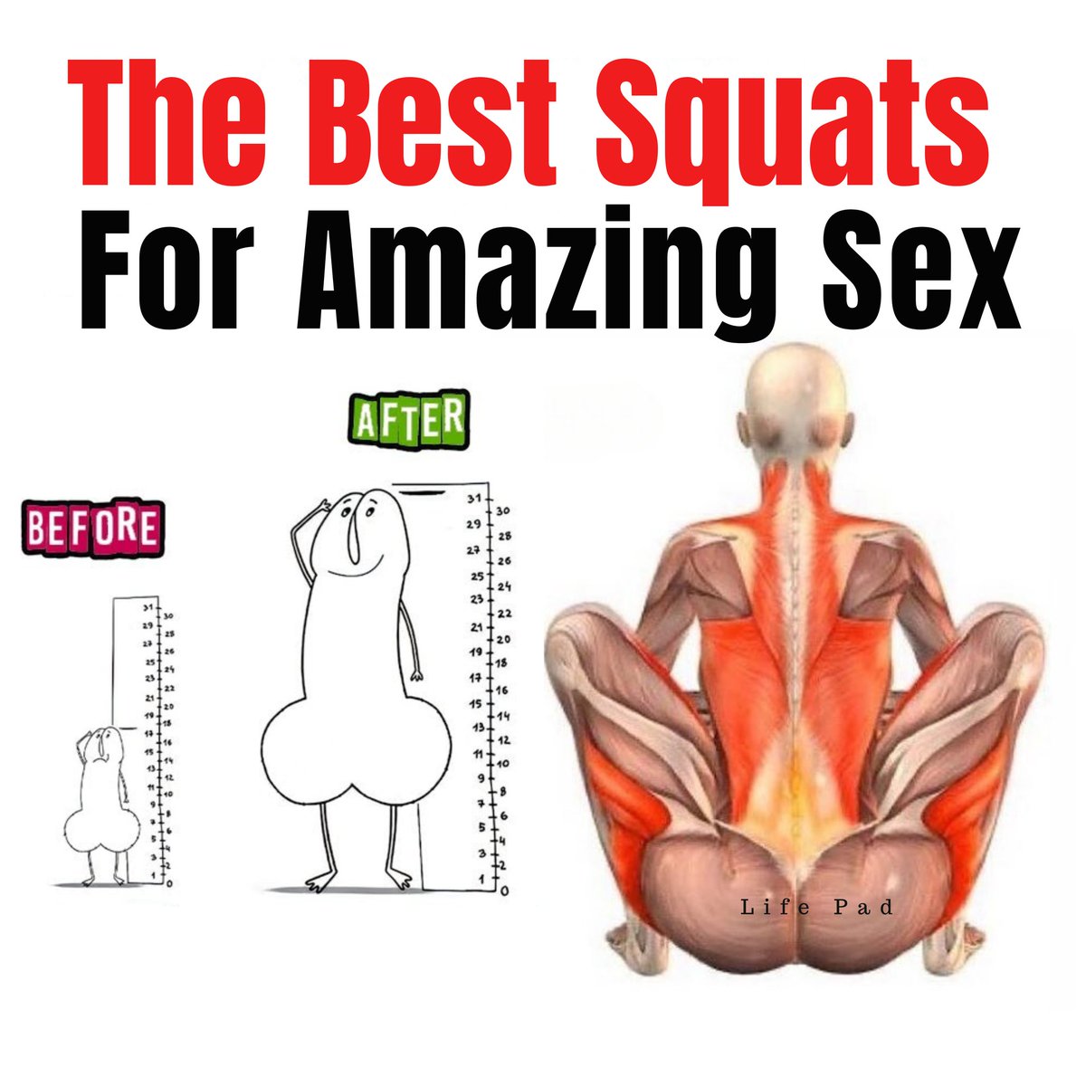 WealthMail's tweet image. Great squats enhance blood flow to the "groin area" here are best squat exercises to improve your sex Life 🍆

(educational purpose)
