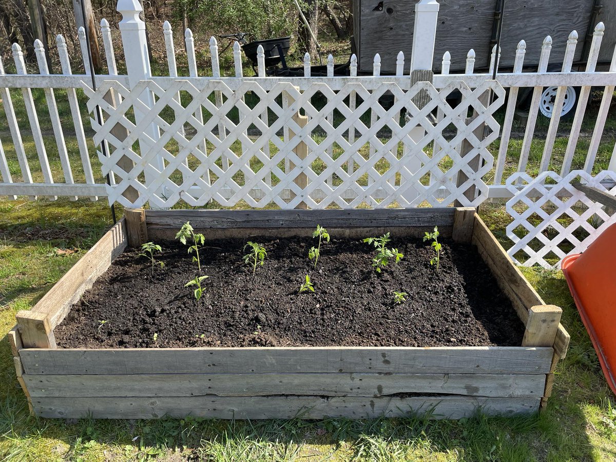The summer bed is a work in progress. Trying my hand with interplanting flowers for pollination and pest control. @Hudson9290 had to tuck them in to bed for the night, possible frost! #njgardening #njhomestead #growyourfood #selfsufficient