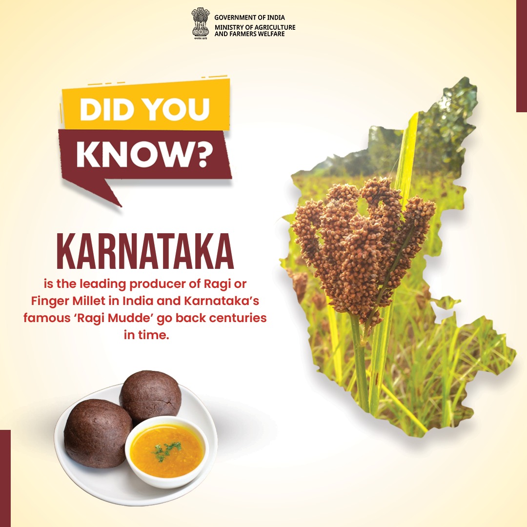 As the leading producer of Ragi, Karnataka, has been cultivating a legacy of nourishment and sustainability since time immemorial-especially with regional delicious staples such as Ragi Mudde. 

#IYM2023 #ShreeAnna #ragi #production