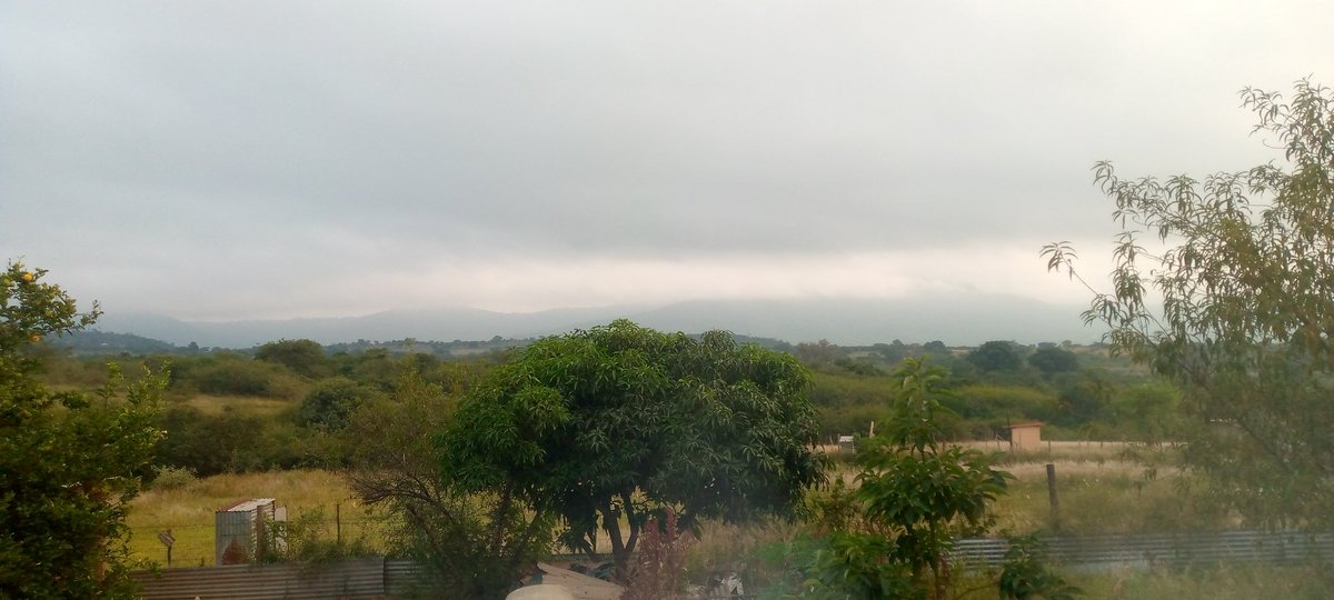 @MorningLiveSABC @JoelGuy_ At Ha_Mashamba Limpopo Province under Makhado Municipality in Vhembe District is partly cloudy 💚