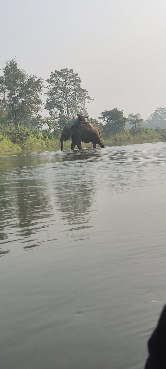 #tb
Chitwan National Park.