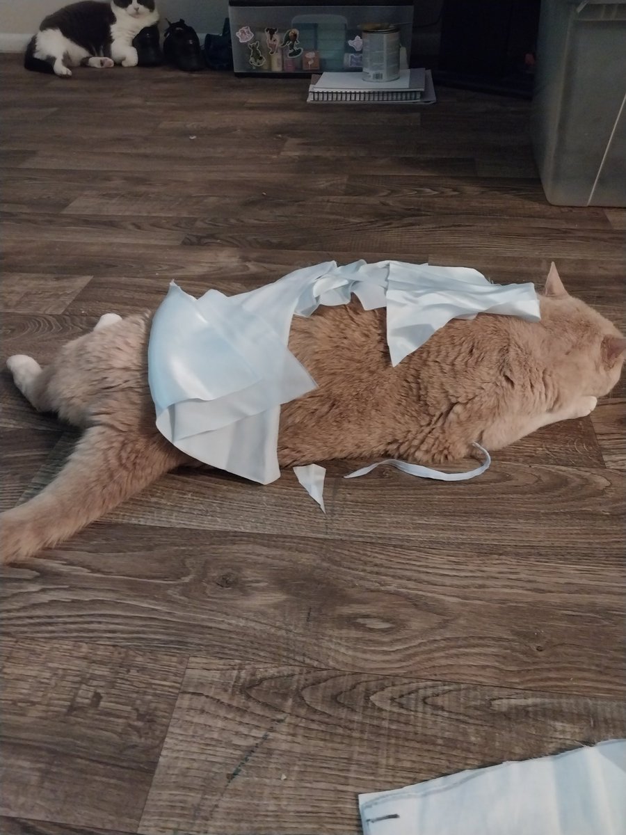 This butthead insists on being RIGHT THERE when I try to cut fabric, so I tossed the scraps on him. He hasn't budged. He keeps swinging his tale back and forth to spite me. I told him I don't need his help...this spicy cookie. #CatsofTwittter