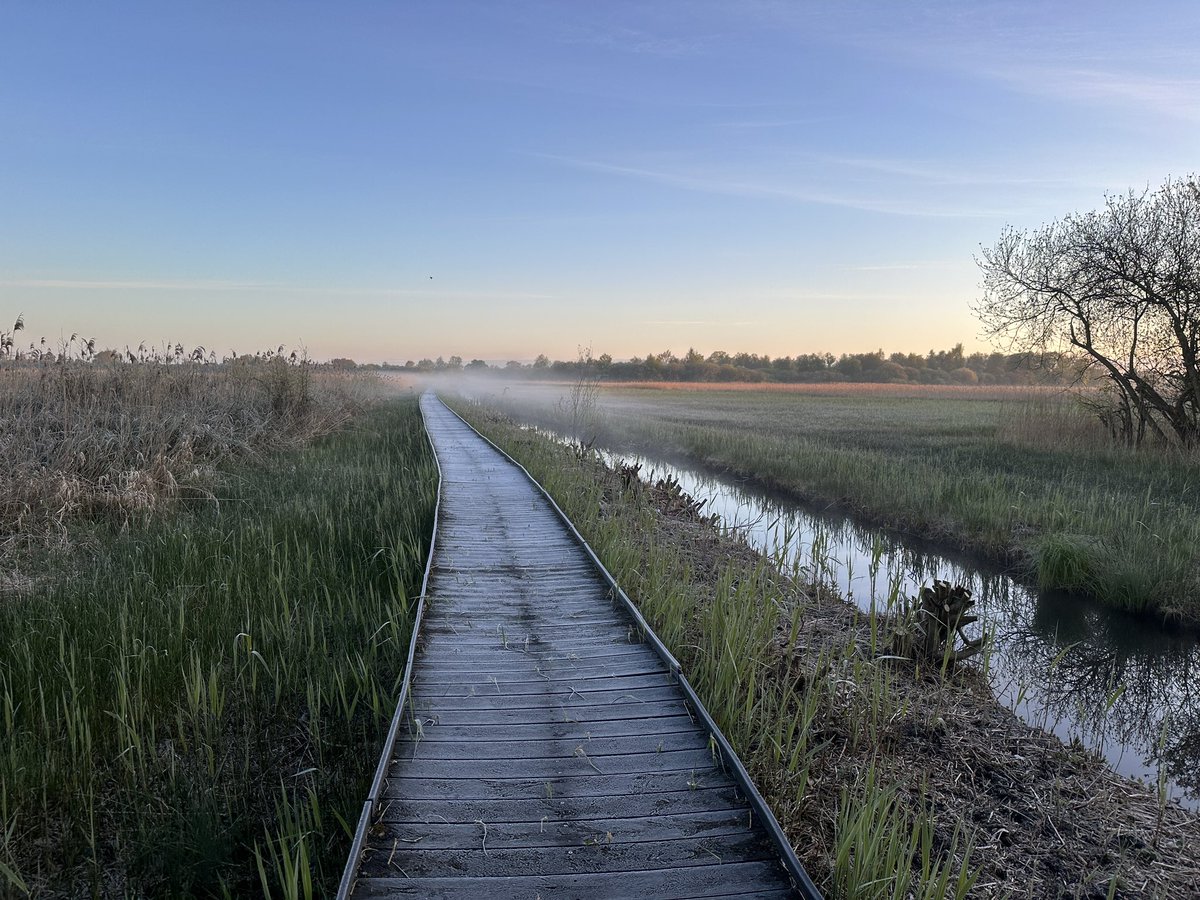 Feels like -2 on the Cambridgeshire fens today with frost & mist @WickenFenNT @WeatherAisling @ChrisPage90 @SpottedInEly @StormHour @ThePhotoHour #iPhone #sunrise