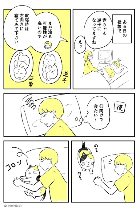 アカチャンとネコチャンと
「逆子」1/2

#漫画が読めるハッシュタグ 