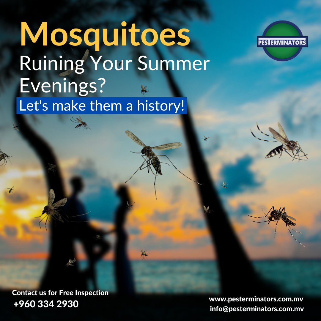 Mosquitoes Ruining Your Summer Evenings?
Let's make them a history!

Contact us for Free Inspection - +960 334 2930

#pesterminators #pestmanagement #resort #maldives #maldivesresorts  #mosquitoes #stopmosquitoes #nomorebites #enjoyoutdoors #pestcontrolexperts #mosquitofreeliving