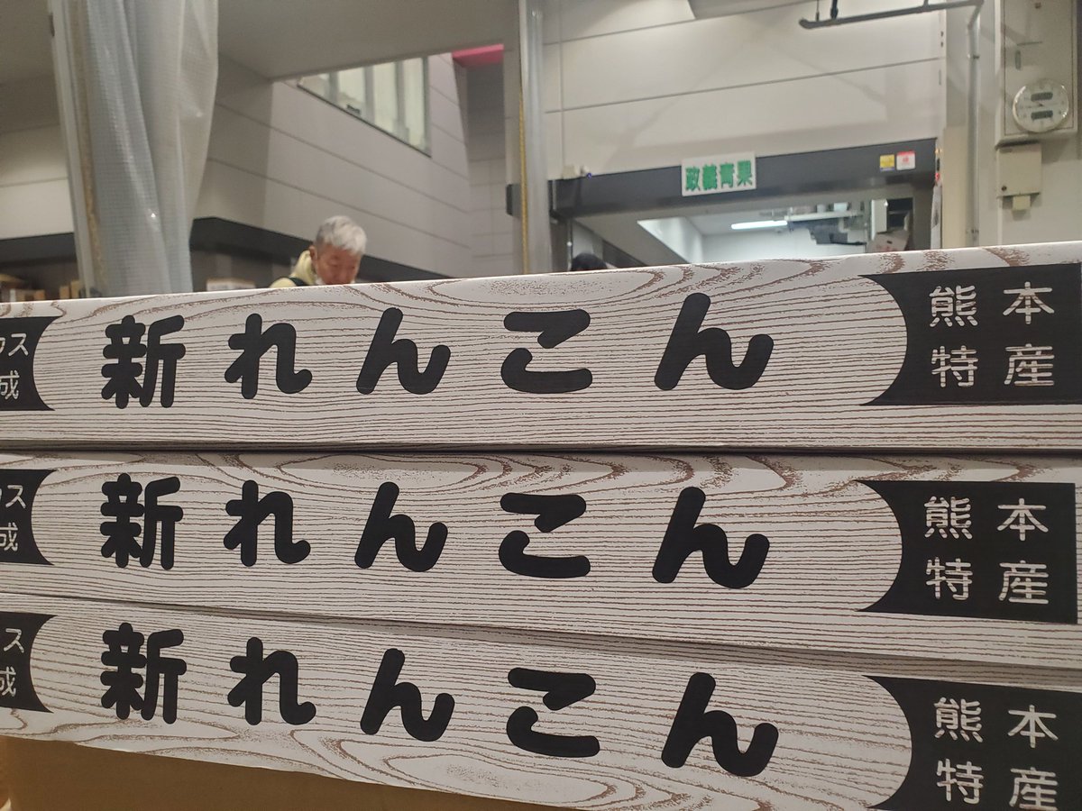 今朝の豊洲市場・政義青果、熊本県より新れんこんが入荷しました🎵　透き通るような白さです(大袈裟)😄 #政義青果 #豊洲市場 #新れんこん #ハウスれんこん