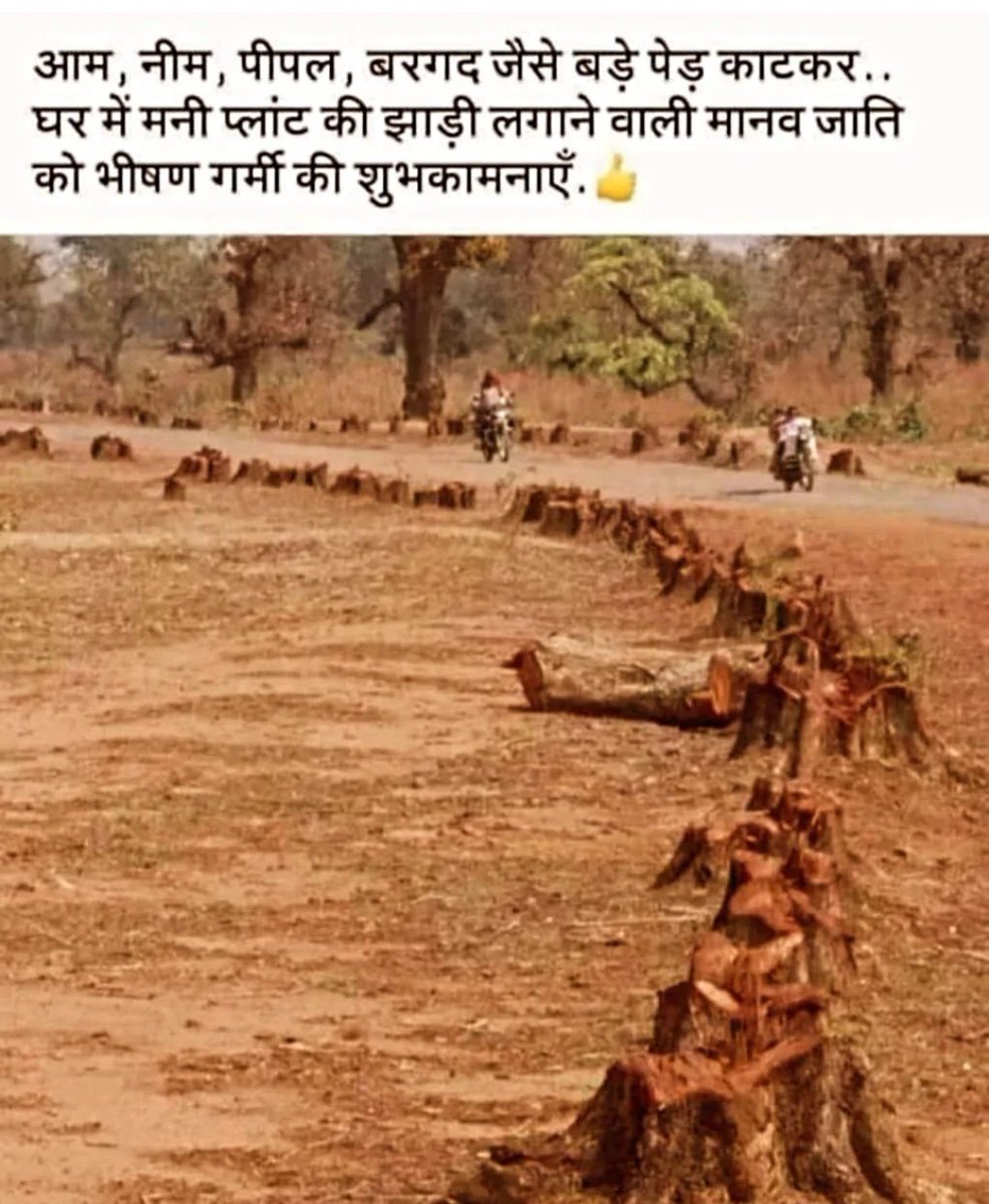 This is very true.We are destroying Forest, and big native trees like Neem,banyan and peepal ..wake up it's not too late .
#saveforests
#savenativeplants