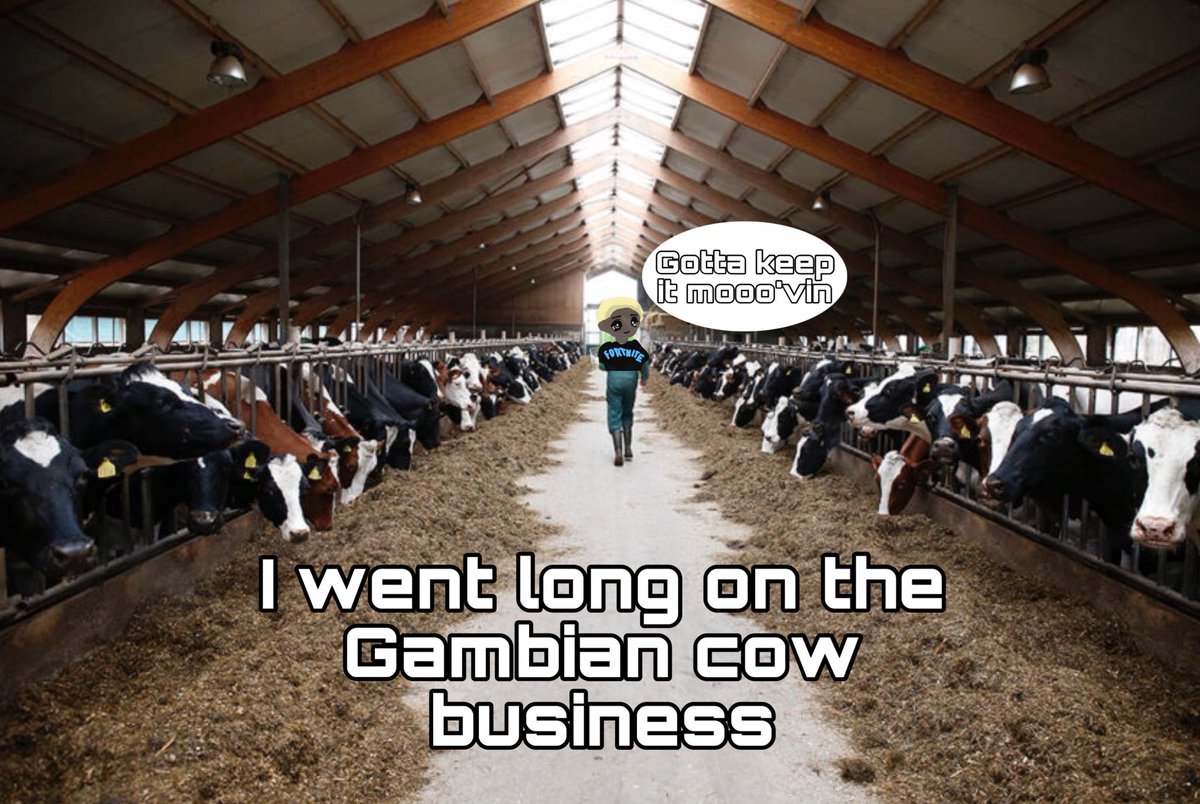 BizzyIzzy tweet media