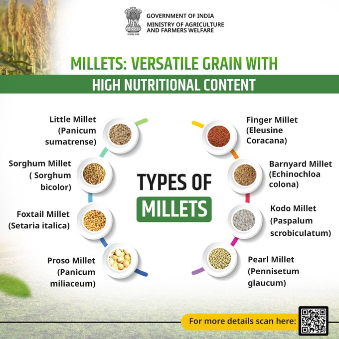 Millets: Cultivating health, sustainability, and taste  Millets are a versatile grain known for their nutritional density, gluten-free nature, and adaptability to various climates, offering a range of culinary possibilities.  #agrigoi #Millets #IYM2023 #ShreeAnna #YearOfMillets