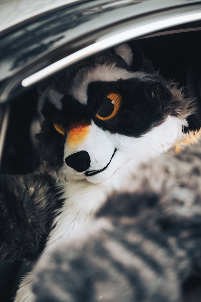 wanna ride with me? 📷 @loniceradc66 #FursuitFriday